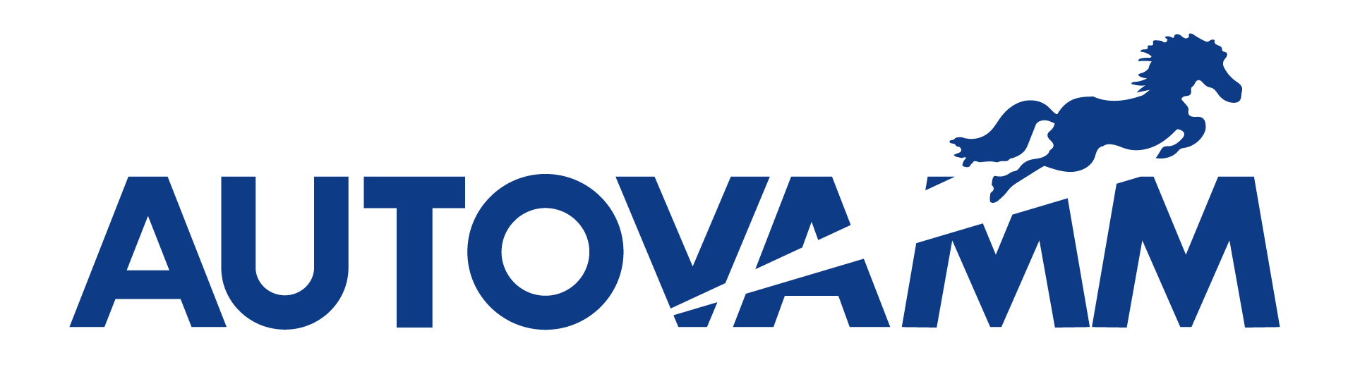 Autovamm Store Online